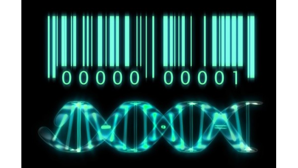 Thử nghiệm thuốc trở nên dễ dàng với mã vạch DNA